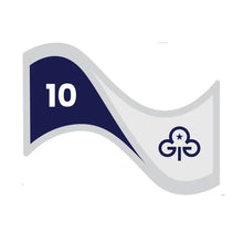 Load image into Gallery viewer, Long Service Awards - Cloth Badges

