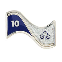 Load image into Gallery viewer, 10 Year Long Service Brooch, Certificate &amp; gift bag
