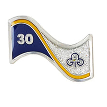 Load image into Gallery viewer, 30 Year Long Service Brooch, Certificate &amp; gift bag
