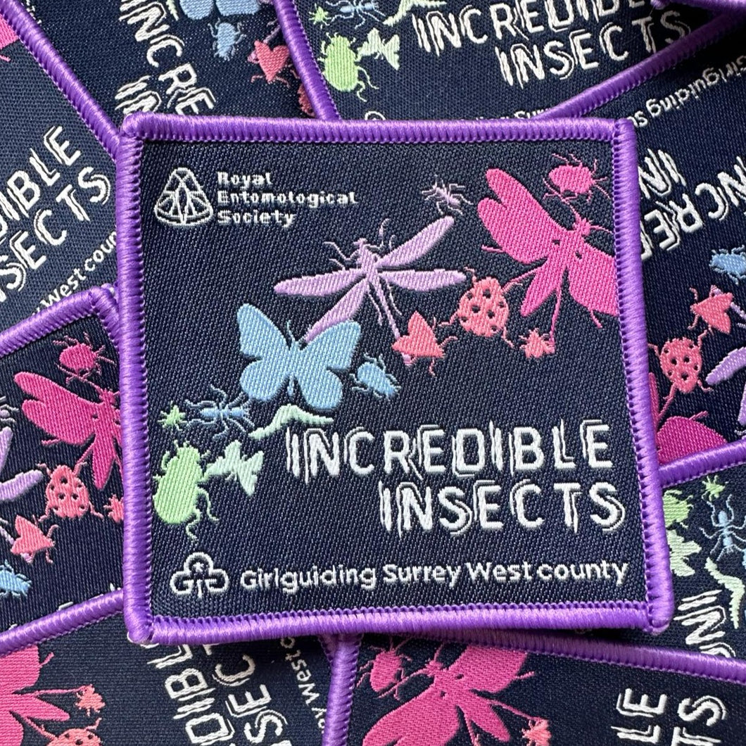 Incredible Insects Challenge Badge