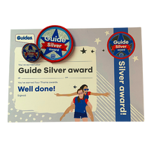 Load image into Gallery viewer, Guide Silver Award
