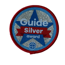 Load image into Gallery viewer, Guide Silver Award
