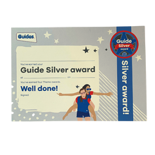 Load image into Gallery viewer, Guide Silver Award
