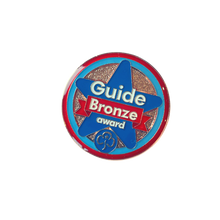 Load image into Gallery viewer, Guide Bronze Award
