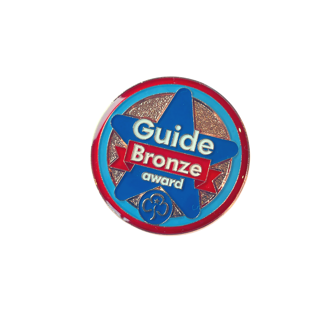 Guide Bronze Award